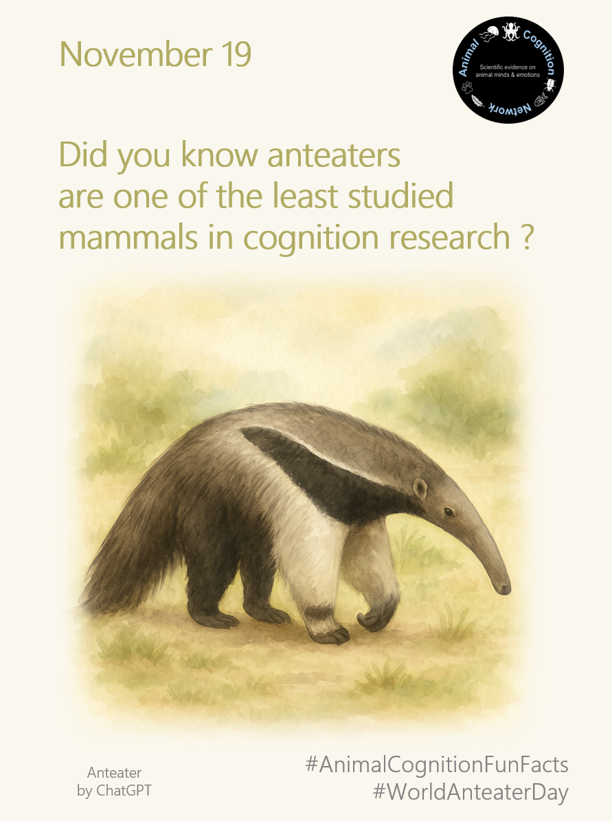 Animal Cognition Fun Facts