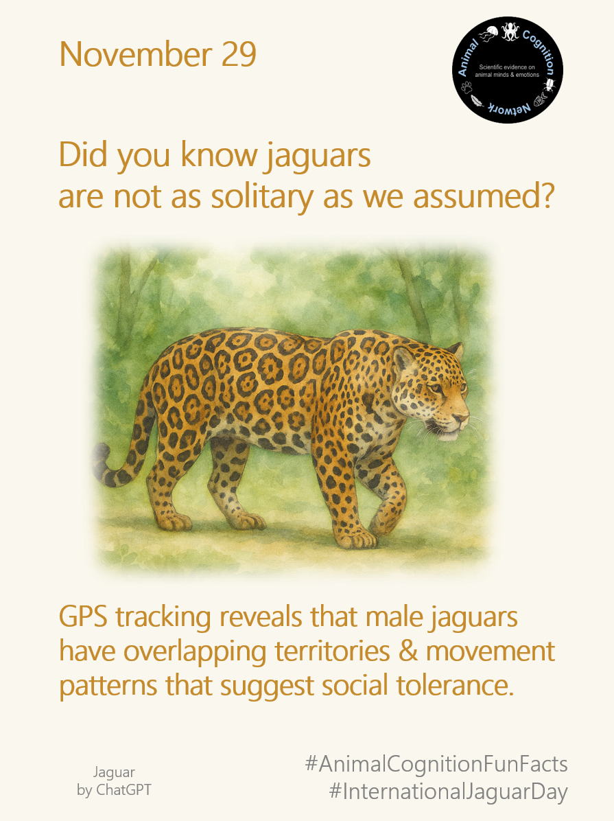 Animal Cognition Fun Facts