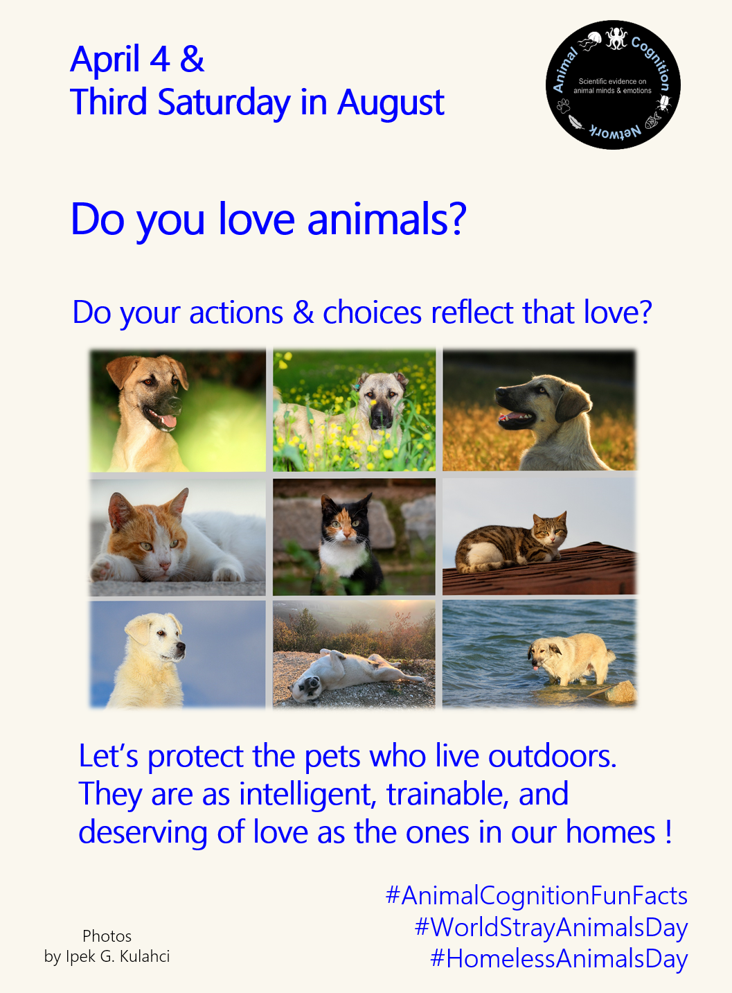 Animal Cognition Fun Facts