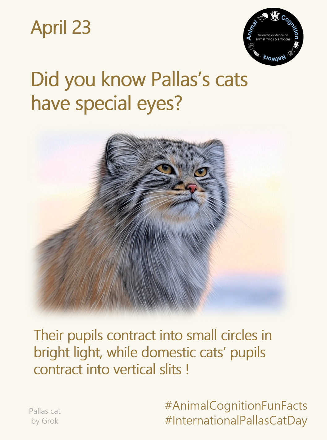 Animal Cognition Fun Facts