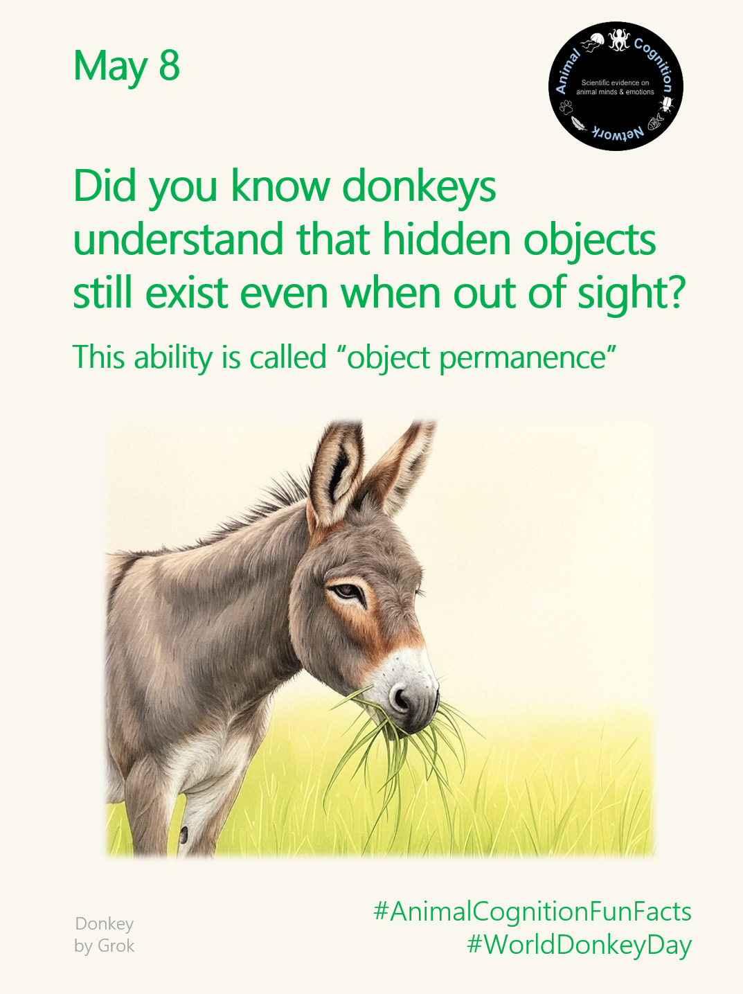 Animal Cognition Fun Facts
