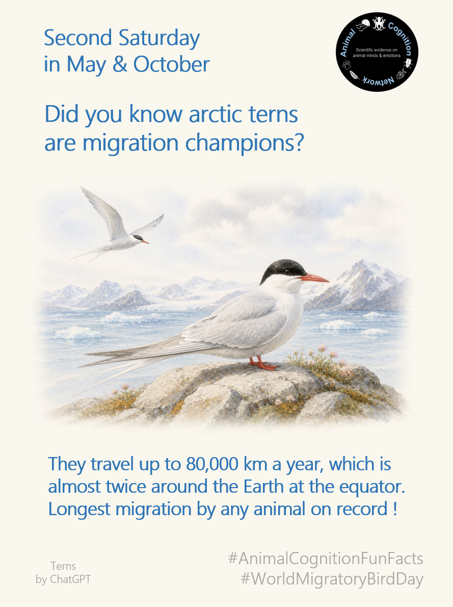 Animal Cognition Fun Facts