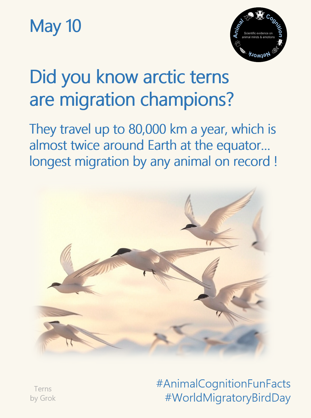 Animal Cognition Fun Facts