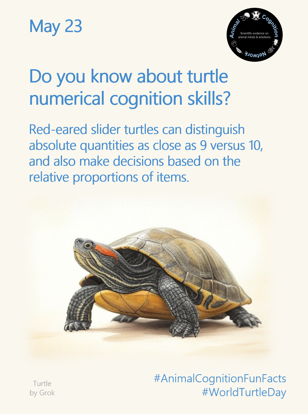 Animal Cognition Fun Facts