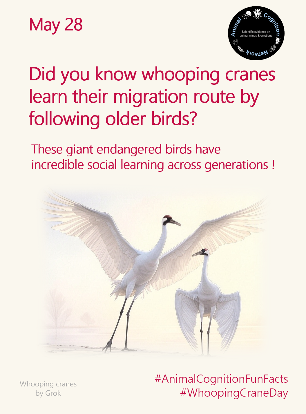 Animal Cognition Fun Facts