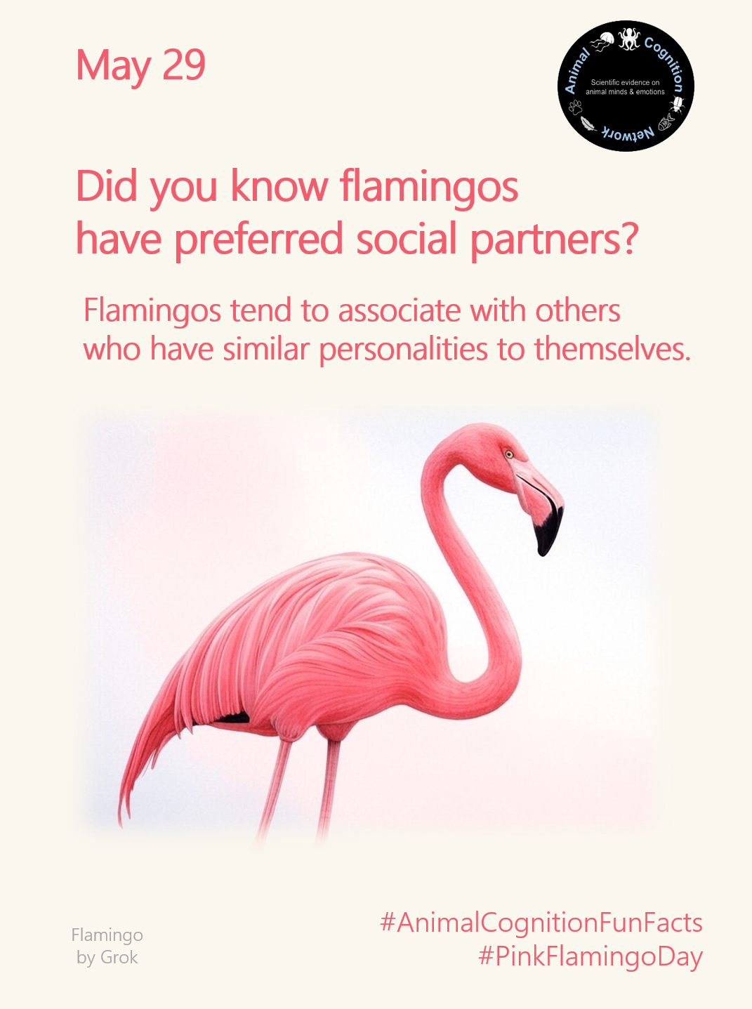 Animal Cognition Fun Facts