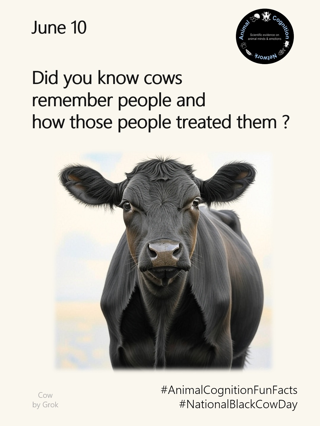 Animal Cognition Fun Facts