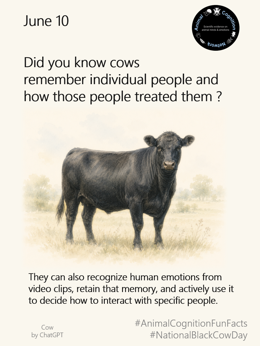 Animal Cognition Fun Facts