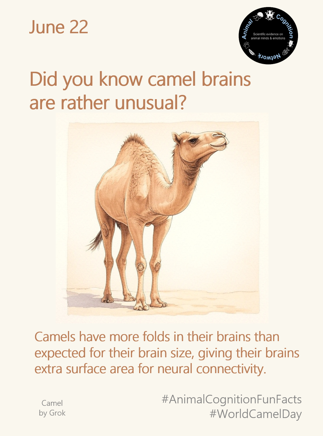 Animal Cognition Fun Facts