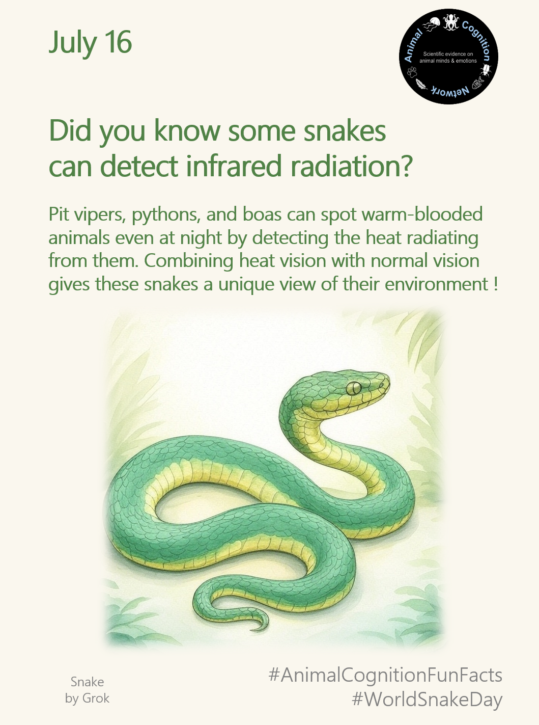 Animal Cognition Fun Facts