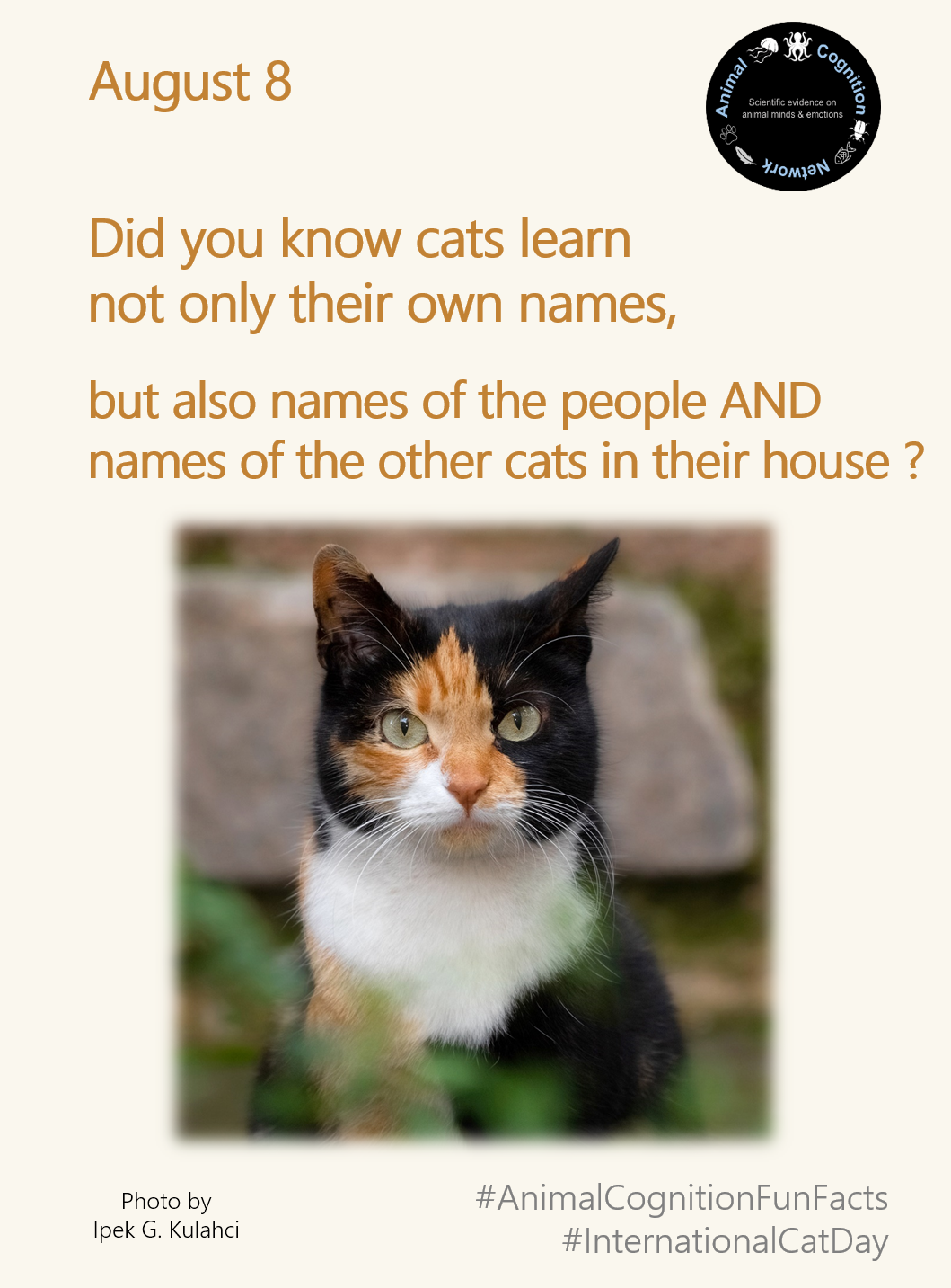 Animal Cognition Fun Facts