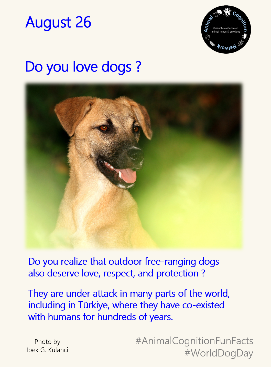 Animal Cognition Fun Facts