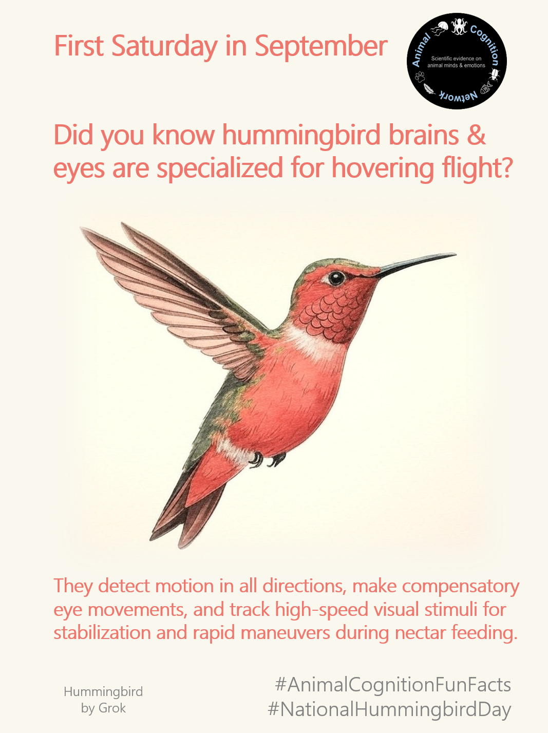 Animal Cognition Fun Facts