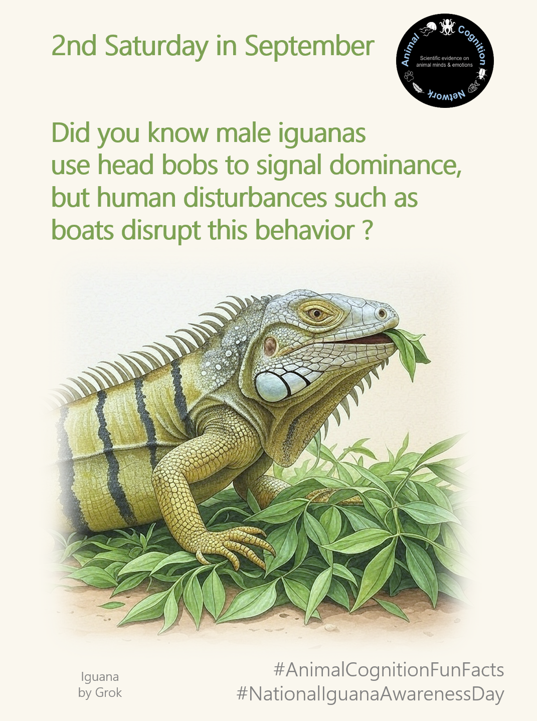 Animal Cognition Fun Facts