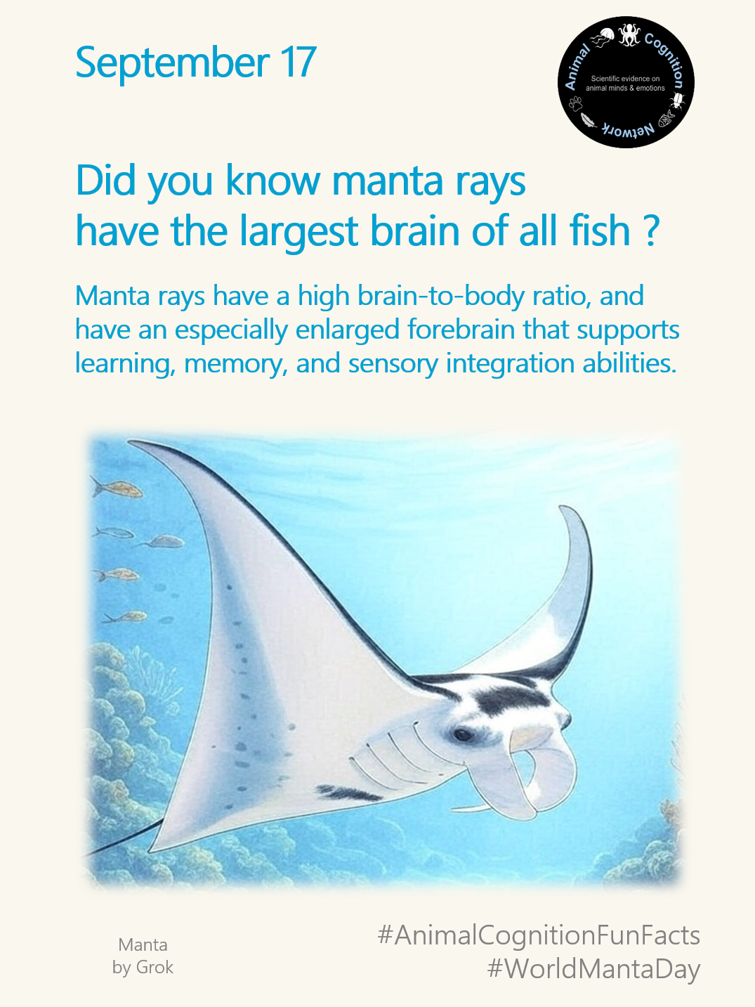 Animal Cognition Fun Facts