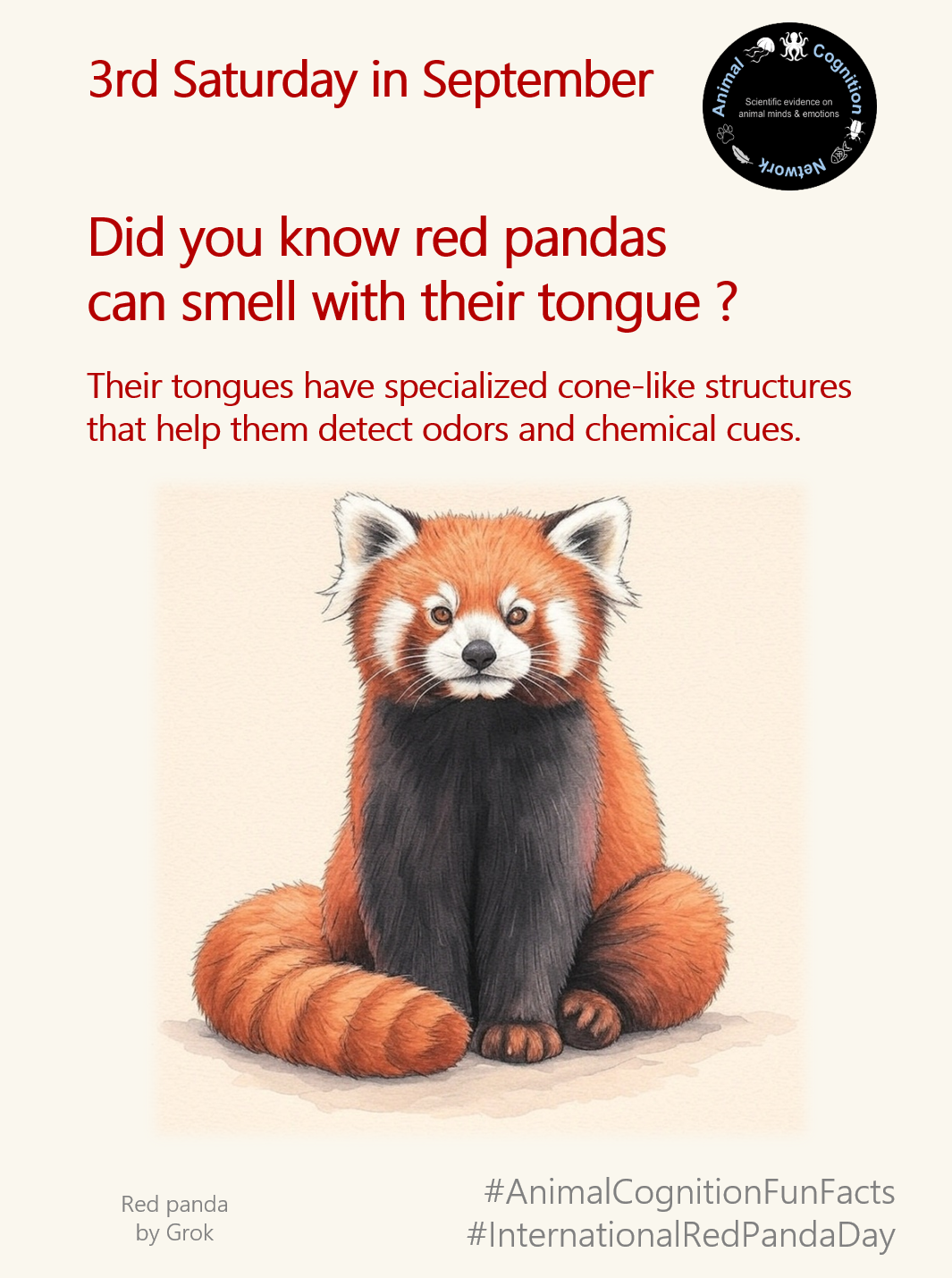 Animal Cognition Fun Facts