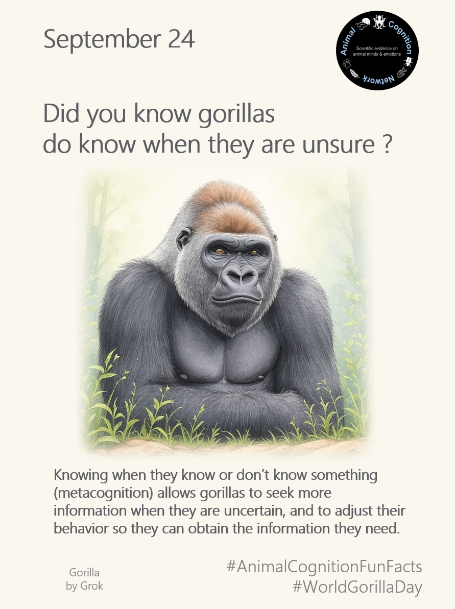 Animal Cognition Fun Facts