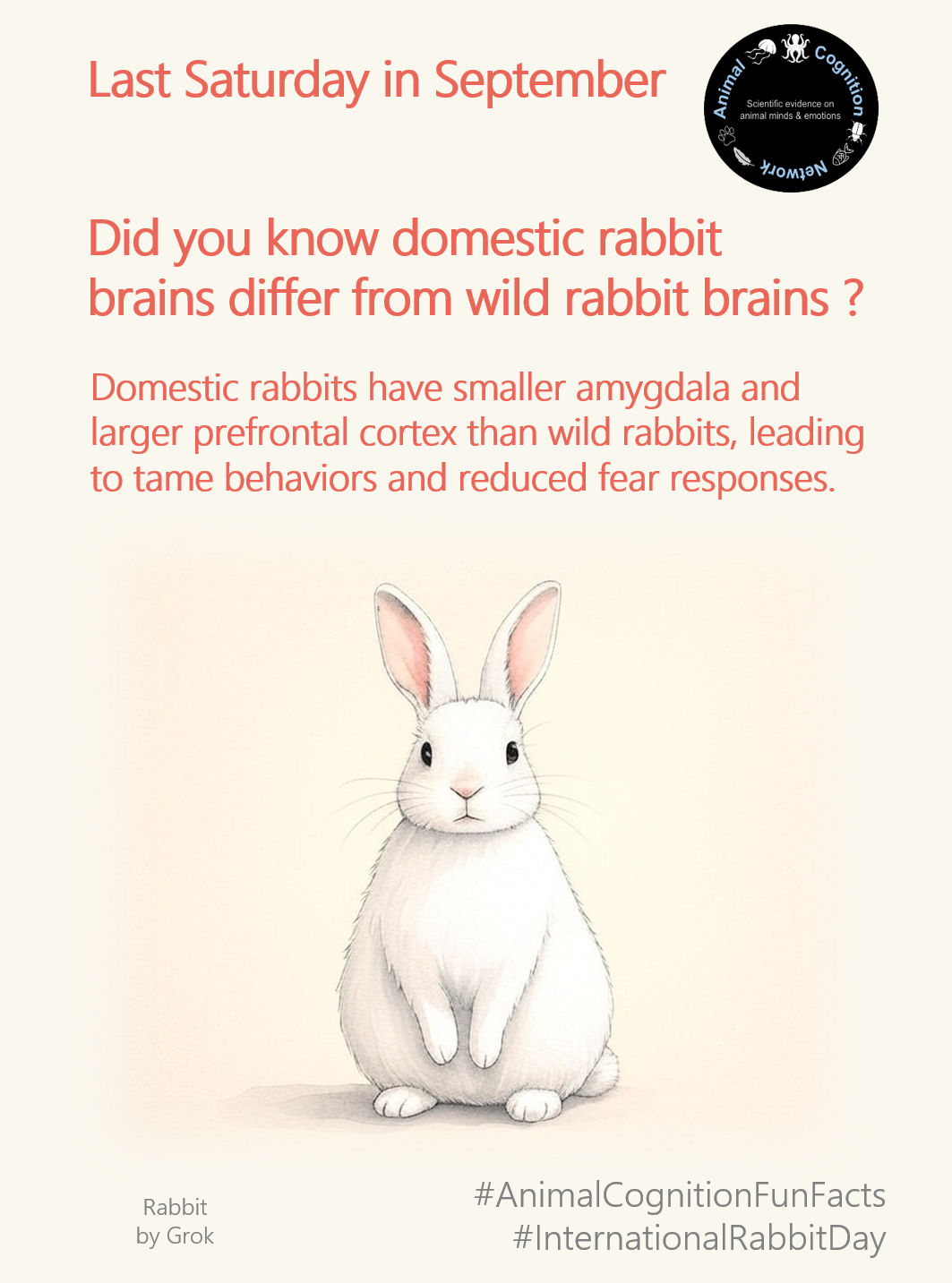 Animal Cognition Fun Facts