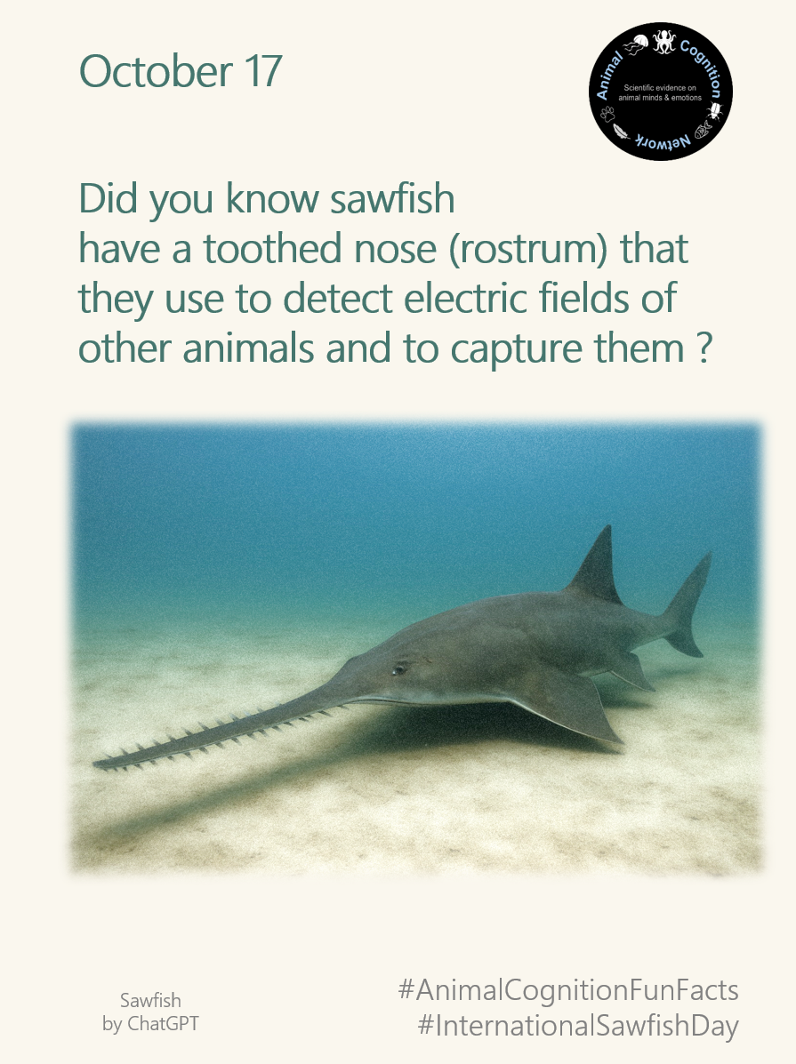 Animal Cognition Fun Facts