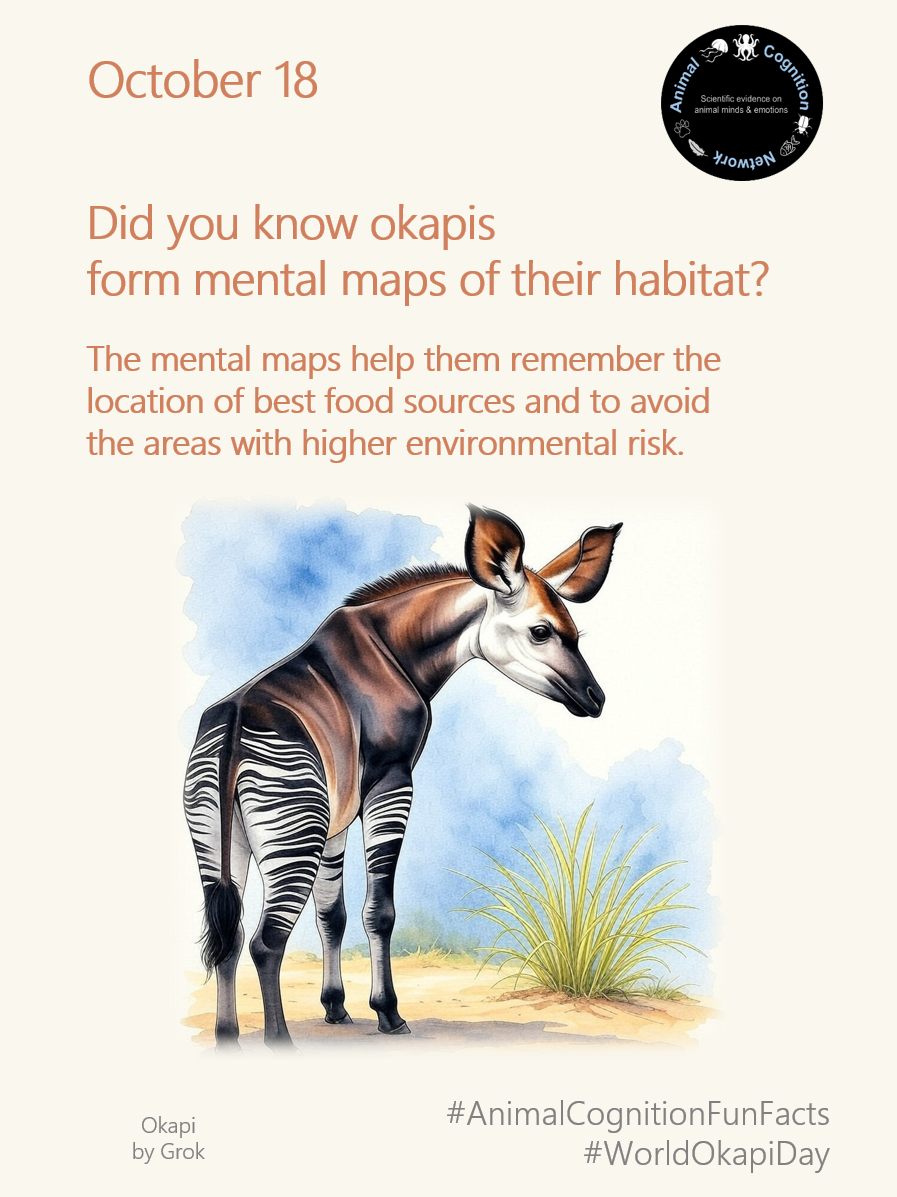 Animal Cognition Fun Facts
