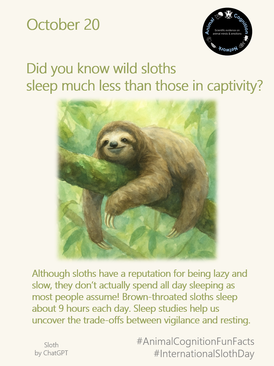 Animal Cognition Fun Facts