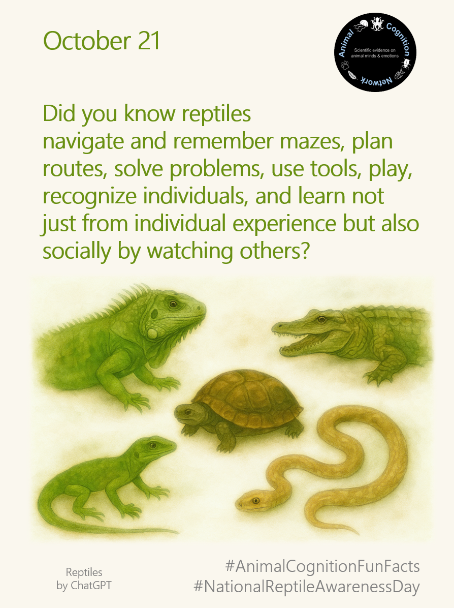 Animal Cognition Fun Facts