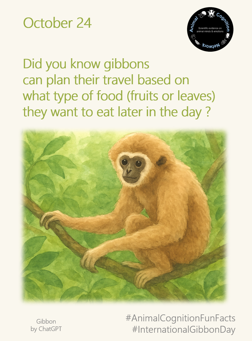 Animal Cognition Fun Facts