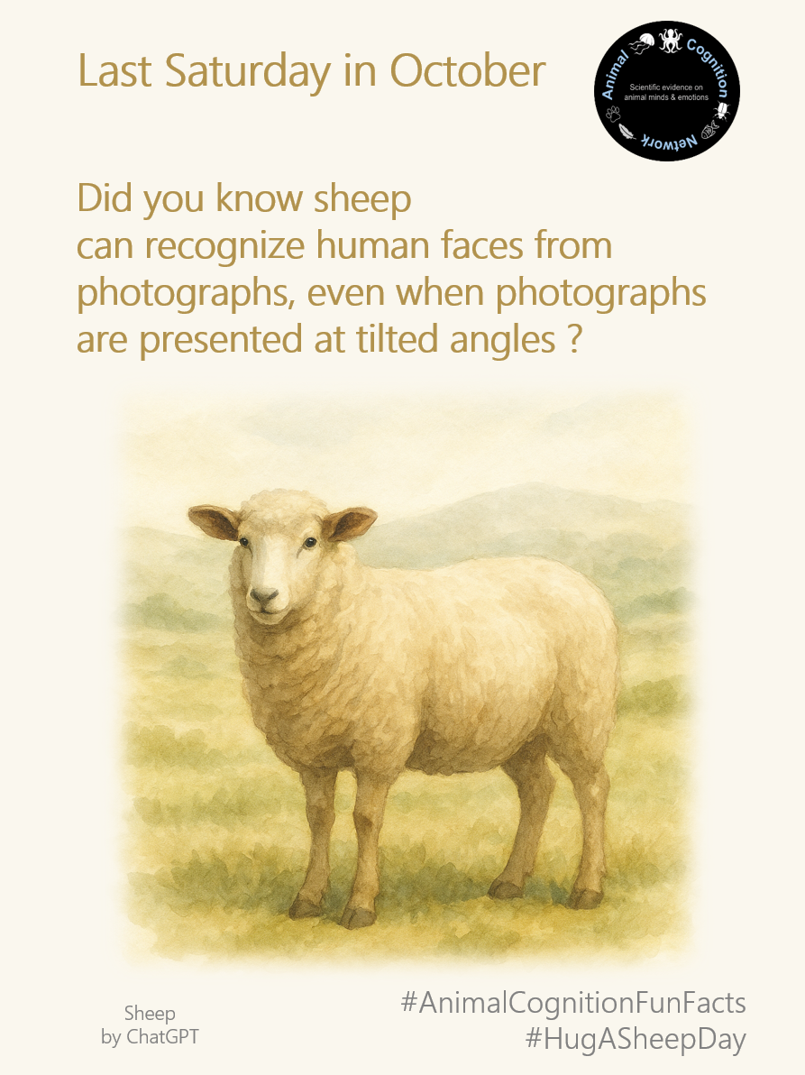 Animal Cognition Fun Facts